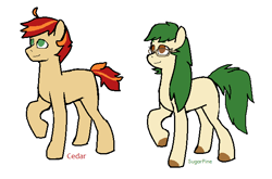 Size: 650x429 | Tagged: safe, artist:kaciekk, imported from derpibooru, oc, oc:cedar, oc:sugar pine, earth pony, earth pony oc, glasses, looking up, simple background, white background