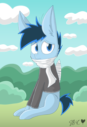 Size: 912x1326 | Tagged: safe, artist:snuggleb4cuddle, imported from derpibooru, oc, oc:snuggles, pegasus, pony, clothes, male, solo