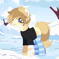 Size: 1080x1080 | Tagged: safe, alternate version, artist:fluffponee, imported from derpibooru, oc, oc only, earth pony, pony, :p, bandaid, clothes, earth pony oc, male, outdoors, signature, snow, socks, stallion, striped socks, tongue out, tree