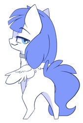 Size: 743x1100 | Tagged: safe, alternate version, artist:arctic-fox, imported from derpibooru, oc, oc only, oc:snow pup, pegasus, pony, alternate character, chibi, collar, simple background, solo, transparent background