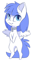 Size: 650x1208 | Tagged: safe, alternate version, artist:arctic-fox, imported from derpibooru, oc, oc only, oc:snow pup, pegasus, pony, alternate character, chibi, collar, simple background, solo, transparent background