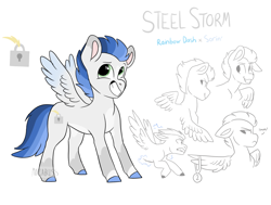 Size: 1996x1512 | Tagged: safe, artist:moccabliss, imported from derpibooru, oc, oc only, oc:steel storm, pegasus, pony, male, offspring, parent:rainbow dash, parent:soarin', parents:soarindash, solo, teenager