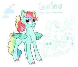 Size: 2057x1751 | Tagged: safe, artist:moccabliss, imported from derpibooru, oc, oc only, oc:cloud spriti, pegasus, pony, female, mare, offspring, parent:rainbow dash, parent:soarin', parents:soarindash, solo