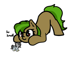 Size: 499x391 | Tagged: safe, artist:neuro, oc, oc only, oc:peep, oc:poison oak, bird, bird pone, earth pony, pigeon, pony, dialogue, earth pony oc, face down ass up, female, mare, micro, simple background, sparkly eyes, white background