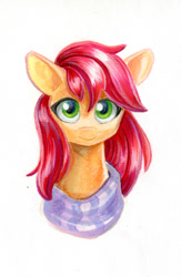 Size: 592x907 | Tagged: safe, artist:maytee, imported from derpibooru, roseluck, earth pony, pony, bust, marker drawing, portrait, solo, traditional art