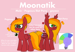 Size: 3125x2192 | Tagged: safe, artist:moonatik, imported from derpibooru, oc, oc only, oc:moonatik, bat pony, pegasus, pony, rat, bat pony oc, bat wings, cutie mark, glasses, hair bun, high res, male, pegasus oc, reference sheet, simple background, solo, stallion, text, transparent background, vulgar, vulgar description, wings