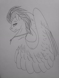 Size: 2448x3264 | Tagged: safe, artist:crazyaniknowit, imported from derpibooru, fleetfoot, pegasus, pony, high res, monochrome, sketch, solo, traditional art