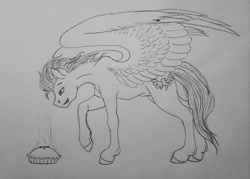 Size: 3264x2333 | Tagged: safe, artist:crazyaniknowit, imported from derpibooru, soarin', pegasus, pony, food, high res, male, monochrome, pie, sketch, solo, stallion, traditional art