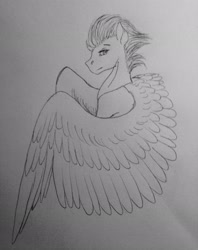 Size: 2448x3084 | Tagged: safe, artist:crazyaniknowit, imported from derpibooru, spitfire, pony, high res, monochrome, sketch, solo, traditional art