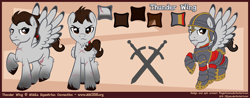 Size: 2300x900 | Tagged: safe, artist:lifyen, imported from derpibooru, oc, oc:thunder wing, oc:thunder wing (mec), pegasus, pony, mascot, middle equestrian convention, reference sheet, solo