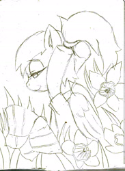 Size: 1626x2217 | Tagged: artist needed, safe, oc, oc only, oc:luftkrieg, pegasus, pony, art pack:marenheit 451, clothes, female, filly, flower, lidded eyes, pegasus oc, shirt, smiling, solo, wings