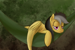 Size: 1425x950 | Tagged: safe, artist:ahorseofcourse, imported from derpibooru, daring do, pegasus, pony, female, hammock, lidded eyes, missing accessory, solo