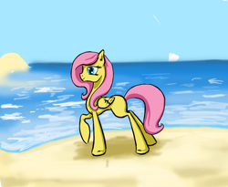 Size: 988x809 | Tagged: safe, artist:joan-grace, imported from derpibooru, fluttershy, pegasus, pony, beach, female, mare, missing cutie mark, outdoors, smiling, solo, wings