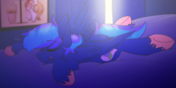 Size: 2668x1332 | Tagged: safe, artist:kirbirb, imported from derpibooru, oc, oc only, pegasus, pony, curtains, detailed background, male, onomatopoeia, sleeping, solo, sound effects, unshorn fetlocks, window, zzz