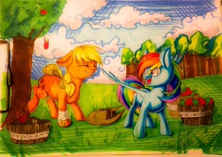 Size: 3185x2257 | Tagged: safe, artist:theorderofalisikus, imported from derpibooru, applejack, rainbow dash, earth pony, pegasus, pony, apple, apple tree, bandaged leg, basket, bucking, cloud, crosshatching, duo, duo female, eye clipping through hair, eyebrows, eyebrows visible through hair, female, food, grass, hat, high res, mare, marker drawing, open mouth, open smile, shading, sky, smiling, spread wings, standing, traditional art, tree, wings