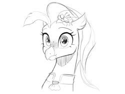 Size: 1061x803 | Tagged: safe, artist:cadillac-dynamite, artist:cadillacdynamite, imported from derpibooru, princess skystar, hippogriff, my little pony: the movie, cute, female, freckles, sketch, skyabetes, solo