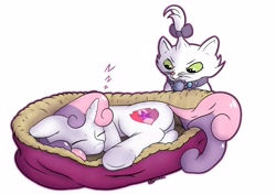 Size: 4096x2892 | Tagged: safe, artist:db, imported from derpibooru, opalescence, sweetie belle, cat, pony, unicorn, annoyed, butt, cute, diasweetes, duo, duo female, eyes closed, female, filly, frown, high res, plot, simple background, sleeping, this will end in pain, white background