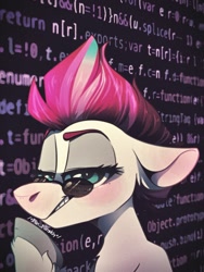 Size: 1080x1437 | Tagged: safe, artist:wacky-skiff, imported from derpibooru, zipp storm, pony, code, female, floppy ears, g5, glasses, javascript, looking at you, mare, programming, solo