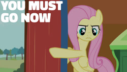 Size: 1280x720 | Tagged: safe, edit, edited screencap, editor:quoterific, imported from derpibooru, screencap, fluttershy, pegasus, pony, it ain't easy being breezies, season 4, bipedal, female, fluttershy's cottage, mare, solo