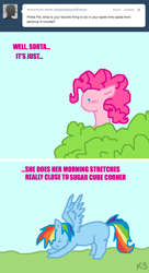 Size: 654x1200 | Tagged: safe, artist:askpinkiepieandfriends, imported from derpibooru, pinkie pie, rainbow dash, earth pony, pegasus, pony, ask, implied lesbian, implied pinkiedash, implied shipping, missing cutie mark, stretching, tumblr, voyeurism