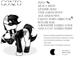 Size: 1018x785 | Tagged: safe, artist:thedansingpig, imported from derpibooru, oc, oc only, earth pony, pony, 2015, clothes, ear piercing, male, piercing, raised hoof, reference sheet, scarf, solo, stallion, story included, sunglasses