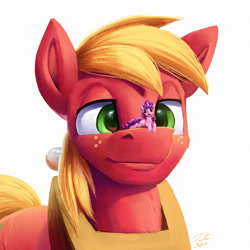 Size: 1500x1500 | Tagged: safe, artist:tsitra360, imported from derpibooru, big macintosh, sugar belle, earth pony, pony, unicorn, cutie mark, duo, female, freckles, male, micro, open mouth, simple background, size difference, smiling, white background