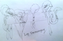 Size: 3207x2109 | Tagged: safe, artist:beamybutt, imported from derpibooru, oc, oc only, oc:moonbeam, alicorn, pony, alicorn oc, eyelashes, female, high res, horn, log, mare, signature, traditional art, wings