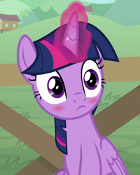 Size: 800x1000 | Tagged: safe, imported from derpibooru, screencap, twilight sparkle, alicorn, pony, the point of no return, blushlight sparkle, cropped, cute, female, mare, solo, twiabetes, twilight sparkle (alicorn)