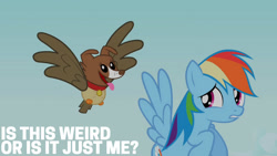 Size: 1280x720 | Tagged: safe, edit, edited screencap, editor:quoterific, imported from derpibooru, screencap, owlowiscious, rainbow dash, winona, bird, dog, hybrid, owl, pegasus, pony, may the best pet win, season 2, female, flying, mare, open mouth, tongue out