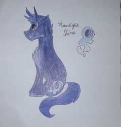 Size: 2424x2540 | Tagged: safe, artist:goldlines005, imported from derpibooru, oc, oc:moonlight shine, pony, unicorn, chest fluff, high res, horn, male, reference sheet, solo, stallion, traditional art, unicorn oc