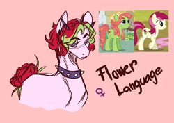 Size: 1000x709 | Tagged: safe, artist:orphicswan, imported from derpibooru, oc, oc only, oc:flower language, earth pony, pony, chaoticverse, parent:roseluck, parent:tree hugger, solo