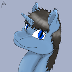 Size: 1200x1200 | Tagged: safe, artist:hadoukishi, imported from derpibooru, oc, oc only, pony, unicorn, bust, digital art, horn, looking at you, male, portrait, simple background, solo, stallion