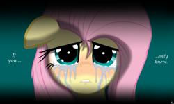 Size: 1711x1027 | Tagged: safe, artist:lennondash, imported from derpibooru, fluttershy, pegasus, pony, crying, floppy ears, looking at you, sad, shadow, simple background, solo, talking to viewer, teary eyes, text