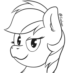 Size: 500x500 | Tagged: safe, artist:exobass, imported from derpibooru, rainbow dash, pony, bust, lineart, portrait, simple background, solo, transparent background