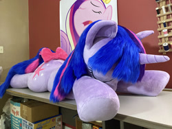 Size: 2688x2016 | Tagged: safe, artist:qtpony, imported from derpibooru, princess cadance, twilight sparkle, pony, bow, eyes closed, high res, irl, lying down, photo, plushie, prone, tail bow
