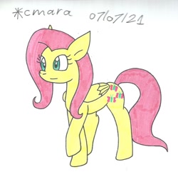 Size: 1092x1053 | Tagged: safe, artist:cmara, imported from derpibooru, fluttershy, pegasus, pony, female, mare, raised hoof, simple background, solo, traditional art, white background