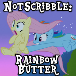 Size: 762x762 | Tagged: safe, edit, edited screencap, imported from twibooru, screencap, fluttershy, rainbow dash, pegasus, pony, image, png, text
