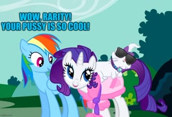 Size: 894x607 | Tagged: safe, edit, edited screencap, imported from derpibooru, screencap, opalescence, rainbow dash, rarity, cat, pegasus, pony, unicorn, suited for success, caption, clothes, image macro, misleading, robe, sunglasses, text