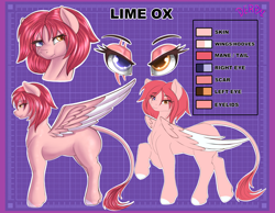Size: 4500x3500 | Tagged: safe, artist:derpx1, imported from derpibooru, oc, oc:lime ox, pegasus, bust, commission, female, heterochromia, portrait, reference sheet