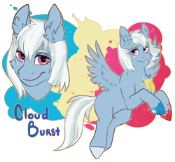 Size: 2538x2343 | Tagged: safe, artist:jeshh, imported from derpibooru, oc, oc only, oc:cloudburst, pegasus, pony, high res, simple background, solo, transparent background