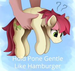 Size: 1810x1720 | Tagged: safe, artist:yakovlev-vad, edit, editor:band sickle, editor:bandwidth, imported from derpibooru, roseluck, earth pony, human, pony, behaving like a cat, burger, confused, cute, cuteluck, disembodied hand, female, food, hamburger, hand, hold x gentle like hamburger, holding a pony, it's dangerous to go alone, mare, meme, offscreen character, question mark, rosabetes, rosepet, text