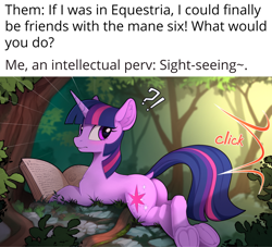 Size: 2200x2000 | Tagged: safe, artist:yakovlev-vad, edit, editor:band sickle, editor:bandwidth, imported from derpibooru, twilight sparkle, pony, unicorn, adorasexy, blushing, book, butt, camera flashes, cute, dock, ear fluff, exclamation point, female, forest, frog (hoof), frown, high res, interrobang, looking back, lying down, mare, meme, nature, observer, offscreen character, paparazzi, pentagram, plot, prone, question mark, reading, rear view, scenery, sexy, slim, solo, startled, surprised, text, thin, tree, twiabetes, twibutt, underhoof, unicorn twilight, voyeur, voyeurism, wide eyes, wingless, wingless edit