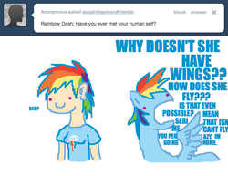 Size: 647x500 | Tagged: safe, artist:askpinkiepieandfriends, imported from derpibooru, rainbow dash, human, pegasus, pony, ask, derp, duo, female, human ponidox, humanized, mare, self ponidox, simple background, tumblr, white background, yelling