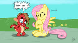 Size: 1441x795 | Tagged: safe, artist:ceehoff, imported from derpibooru, fluttershy, oc, dragon, pony, cute, daaaaaaaaaaaw, dragonified, duo, female, glasses, laughing, male, mare, outdoors, shyabetes, signature, species swap, surprised, wings