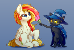 Size: 4000x2700 | Tagged: safe, artist:witchtaunter, imported from derpibooru, oc, oc:nox, oc:summersweet, abyssinian, cat, pegasus, pony, abyssinian oc, cape, chest fluff, clothes, commission, ear fluff, flower, hat, simple background, sitting, smiling, smirk