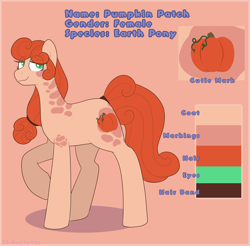 Size: 2124x2089 | Tagged: safe, artist:2k.bugbytes, imported from ponybooru, oc, oc:pumpkin patch (acres), earth pony, pony, female, hair accessory, hairband, raised hoof, raised leg, reference sheet, solo