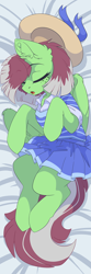 Size: 1000x3000 | Tagged: safe, artist:arctic-fox, imported from derpibooru, oc, oc only, oc:watermelon success, pegasus, pony, body pillow, body pillow design, clothes, dress, explicit source, hat, sleeping, solo