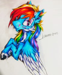 Size: 2723x3287 | Tagged: safe, artist:creature.exist, imported from derpibooru, rainbow dash, pegasus, pony, cloven hooves, fluffy, high res, looking at you, photo, simple background, solo, traditional art, white background, white fur, wings