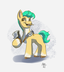 Size: 2651x2974 | Tagged: safe, artist:lytlethelemur, imported from derpibooru, hitch trailblazer, earth pony, pony, abstract background, biting, blaze (coat marking), coat markings, facial markings, g5, high res, looking at you, male, pale belly, paper, pencil, sash, socks (coat markings), stallion, unshorn fetlocks