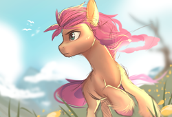 Size: 4000x2712 | Tagged: safe, artist:nettlemoth, imported from derpibooru, sunny starscout, earth pony, pony, cloud, female, g5, grass, high res, mare, sky, solo, unshorn fetlocks, wip